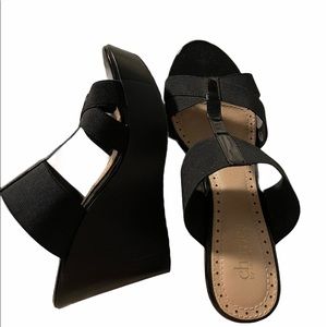 Charles David Wedges